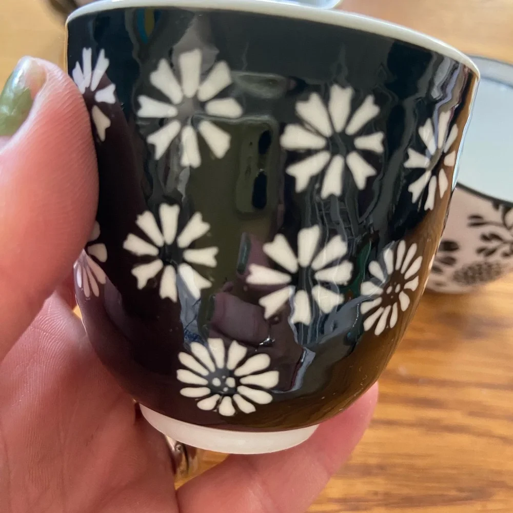 4 Pier One Imports Sake/Tea Cups